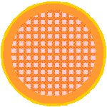 TEM grid plan view